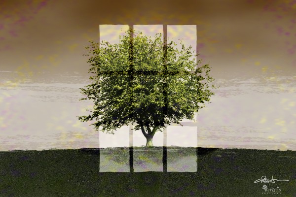 Window on a Green Tree 3x2 by Veratis Editions